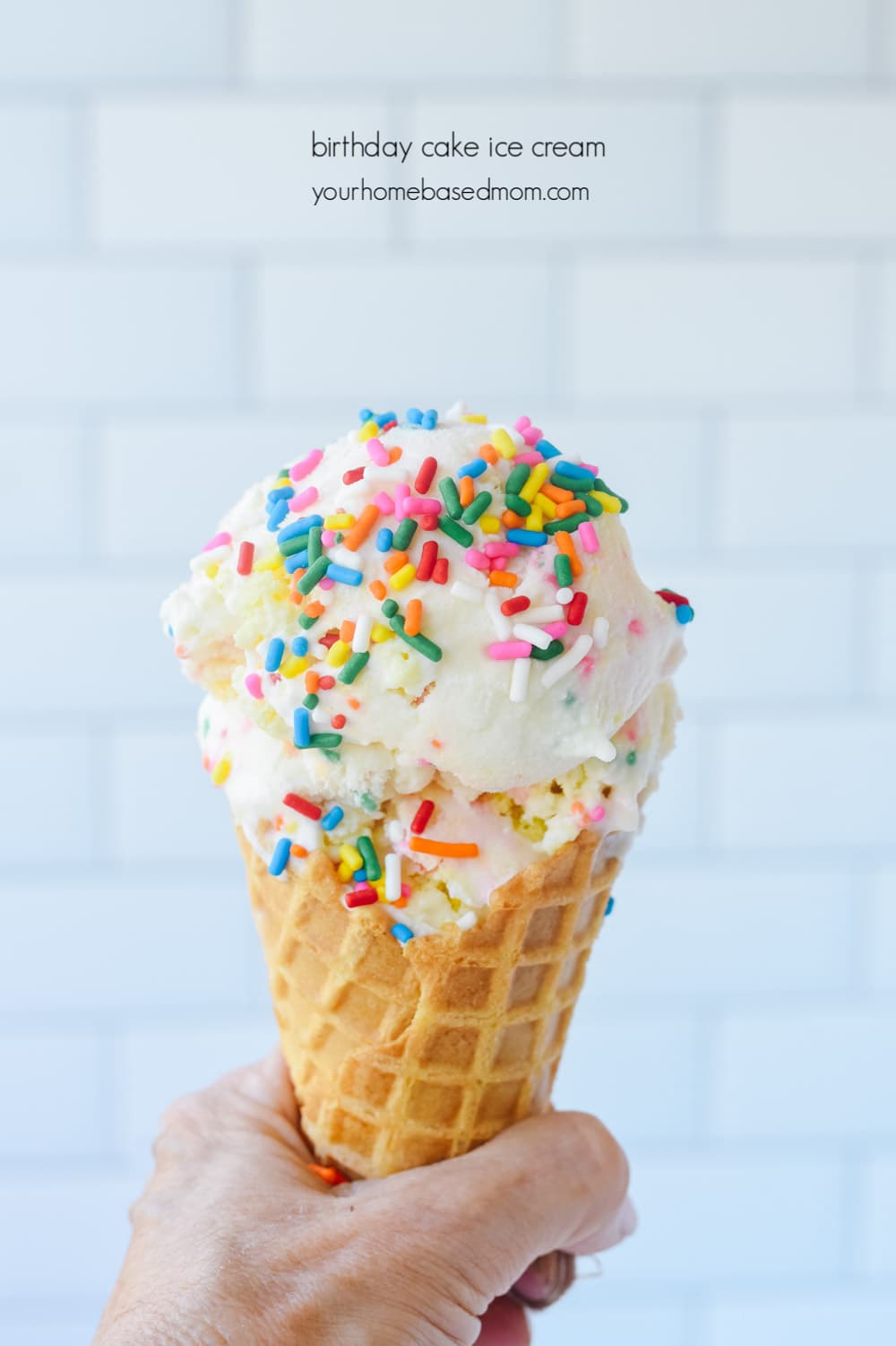 birthday cake ice cream BIrthday Cake Ice Cream Con