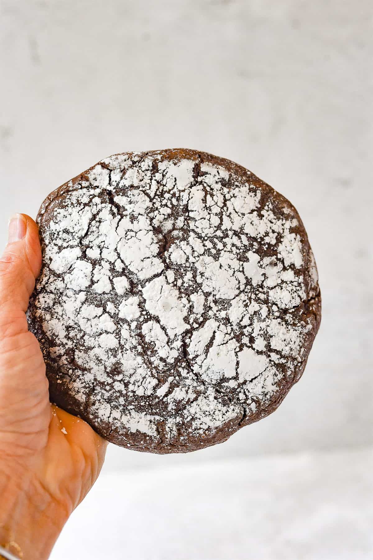hand holding a giant chocolate crinkle cookie